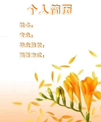 產品顧問求職簡歷封面