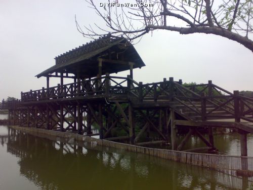 深圳人民公園花展圖片