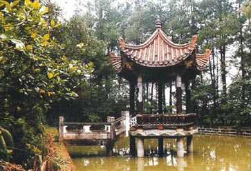 金城山森林公園圖片