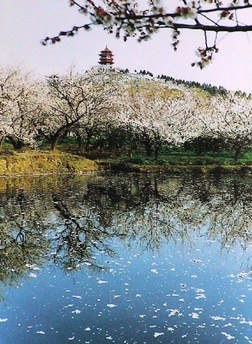 洞庭西山林屋洞圖片