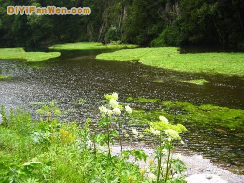 四川芳草海圖片