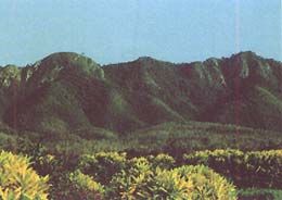 毛公山圖片
