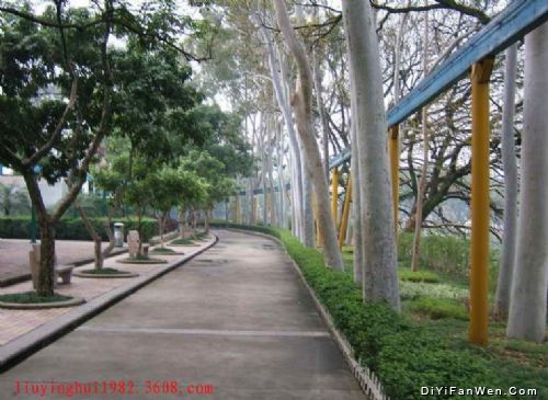 西湖公園圖片