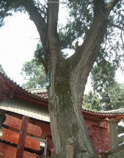 七曲山大廟圖片