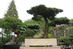 留園圖片