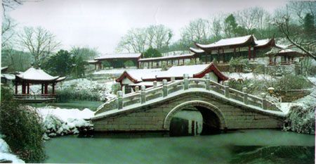 龍泉公園圖片