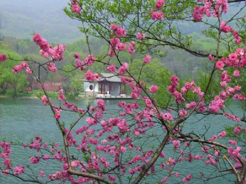 鐘山景區圖片
