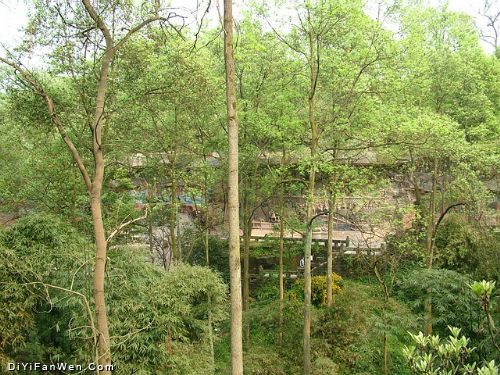 寶頂山圖片