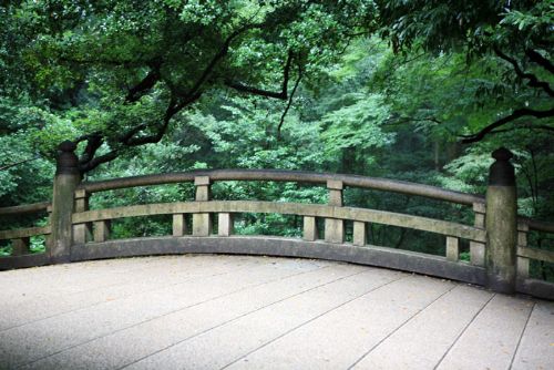 日本明治神宮圖片
