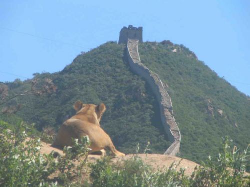八達嶺長城圖片
