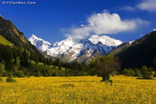 新疆伊犁河谷圖片