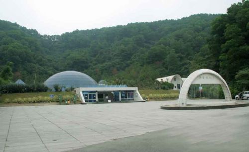 深圳仙湖植物園圖片