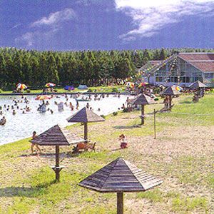 東平國家森林公園圖片