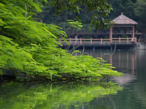 七星岩圖片