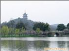 蘇堤春曉
