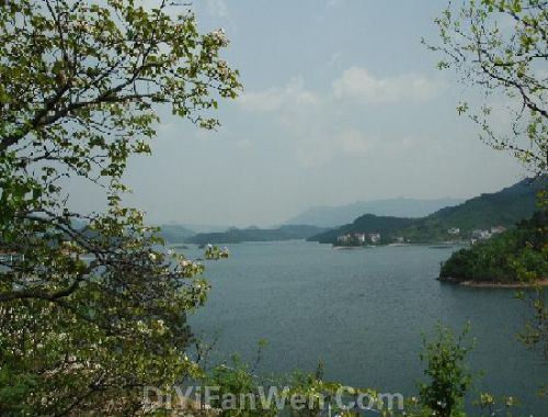 觀音湖生態旅遊區圖片