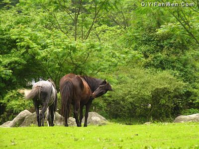 汶川三江生態旅遊區資料圖片