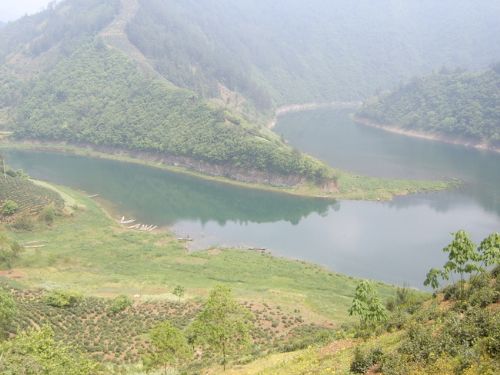 黃山豐樂湖水上人家圖片