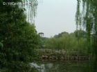 蠡園