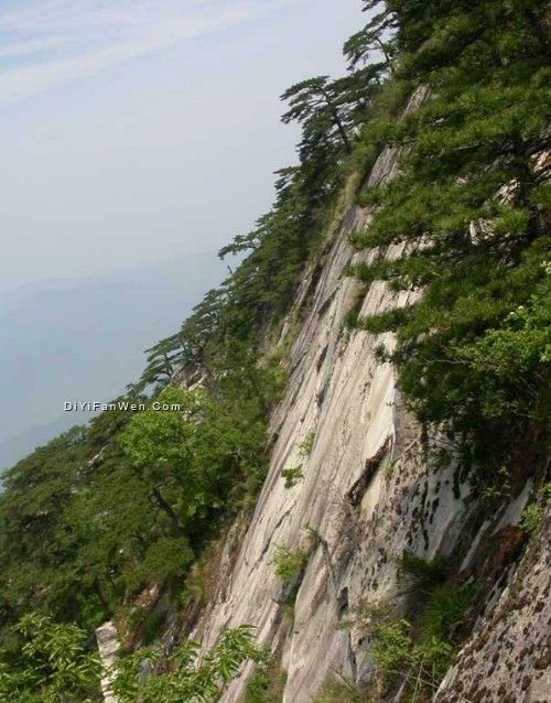湖北薄刀峰圖片