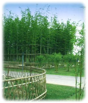 世紀公園圖片