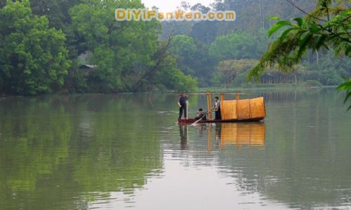 南寧良鳳江國家森林公園圖片