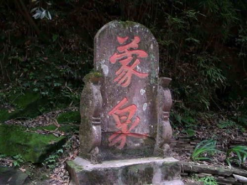 蒙頂山圖片