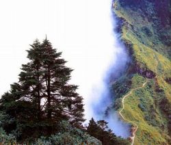 西嶺雪山圖片