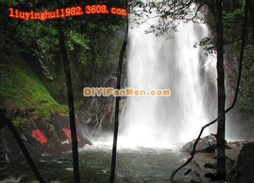 廣西姑婆山國家森林公園圖片