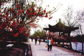 冶春園圖片