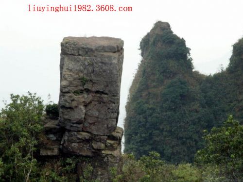 廣西王崗山圖片