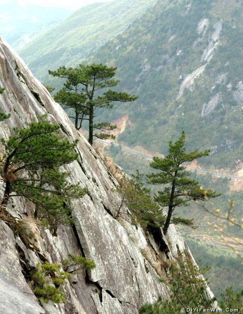 麻城龜山圖片