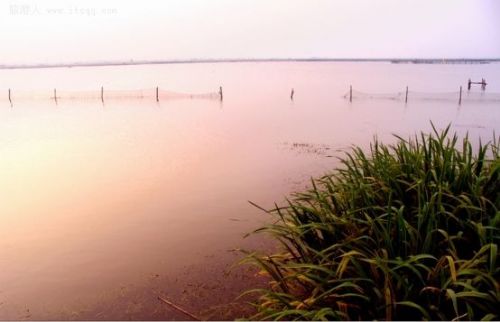 陽澄湖圖片