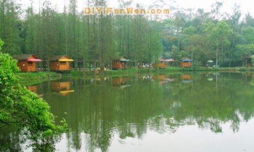 南寧良鳳江國家森林公園圖片