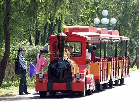 太陽島公園圖片