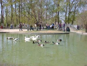 南山公園圖片
