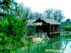 西溪濕地公園
