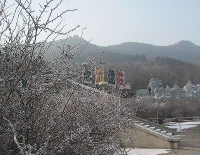 九龍遊樂園圖片