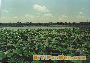 武昌湖圖片