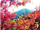 興隆山