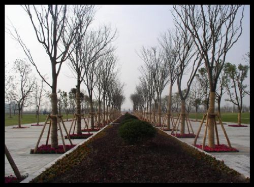 上海交通大學圖片