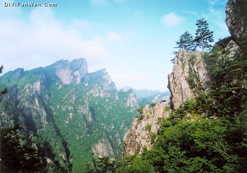 老界嶺風景區圖片