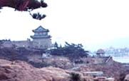 青島海產博物館圖片