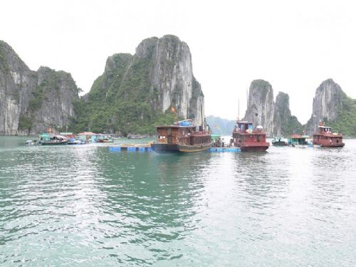 下龍灣圖片