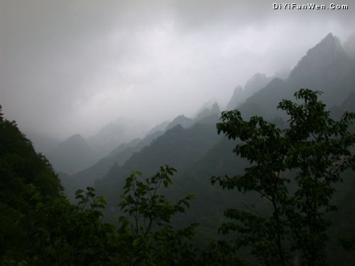 老界嶺風景區圖片