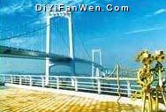 海滄大橋圖片
