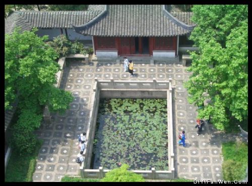 上海大觀園圖片