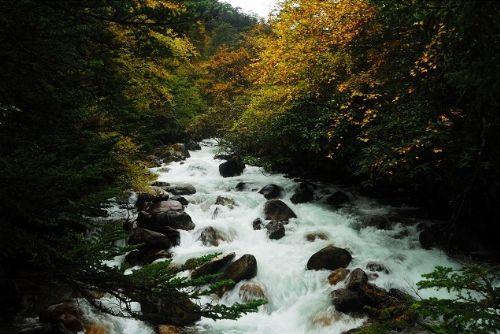 四川康定木格錯圖片