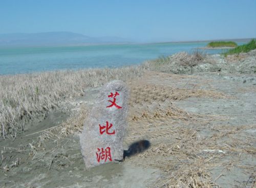 艾比湖濕地自然保護區圖片