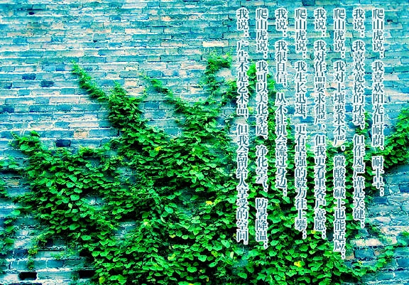 植物背景的個人簡歷封面